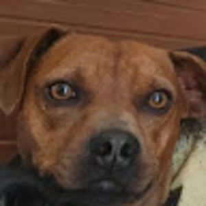 Meet your Posher, Siddharth